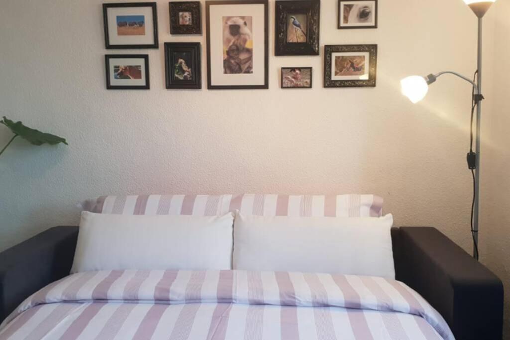 Bonito Y Coqueto Apartamento 코르도바 외부 사진